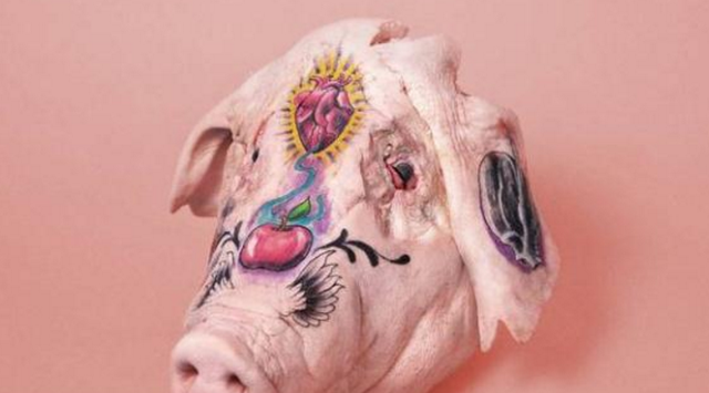 马上就是猪年了，来看看世界各国哪些奇葩脑洞的“猪”元素艺术