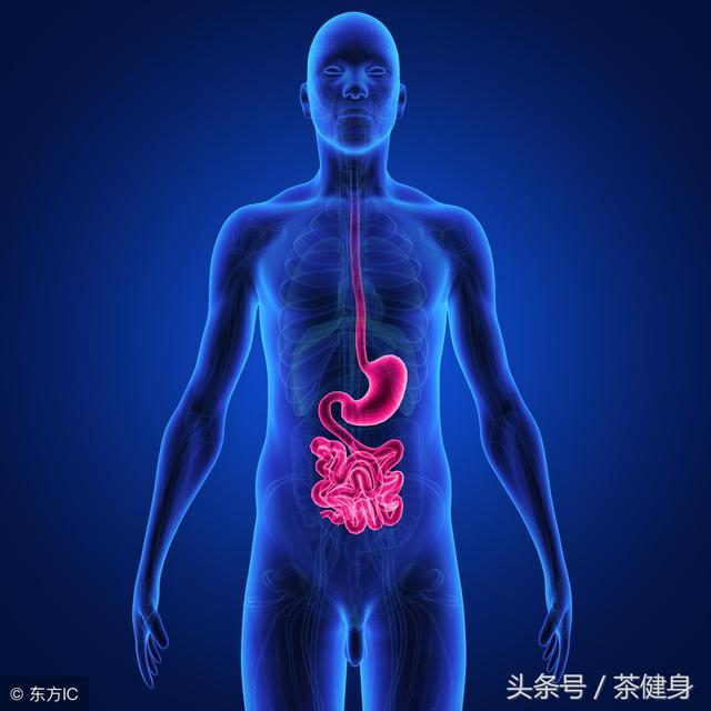 不健康饮食只需7周时间 可能对你体内健康肠道菌群造成不可逆破坏