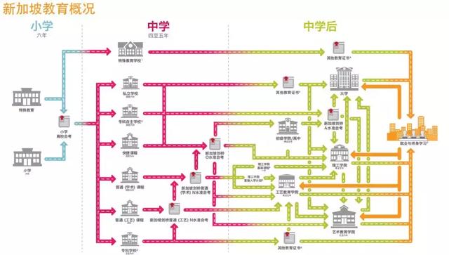 屡屡被评素质教育全球第一，新加坡为何获此殊荣~