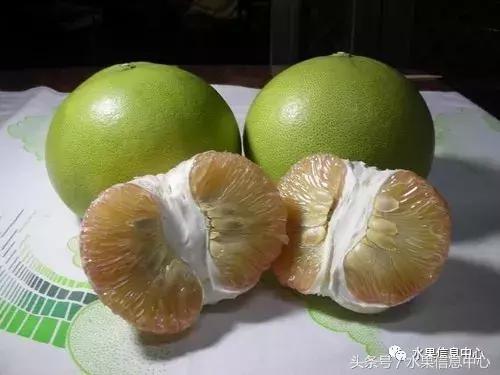 柚子品种产地大揭秘