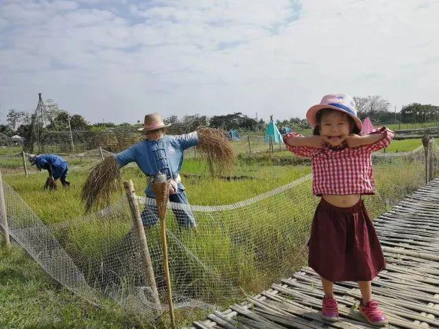 去泰国旅游，顺便让女儿插班上一个月国际幼儿园
