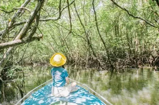 深圳直飞新加坡的后花园：这座免签海岛竟然低调无人知！