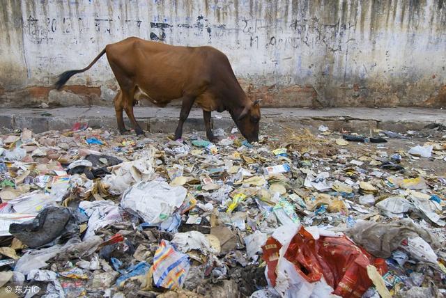 在这个国家只吃了一顿饭，我就再也不想吃了，肚子坏了一个星期