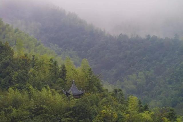 两间酒店接连落脚至美山水地，说它是“武侠迷”一点不过分！