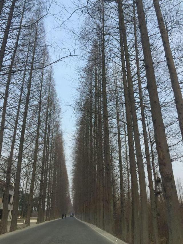 旅游必看！盘点成都让外地游客耳目一新的地方