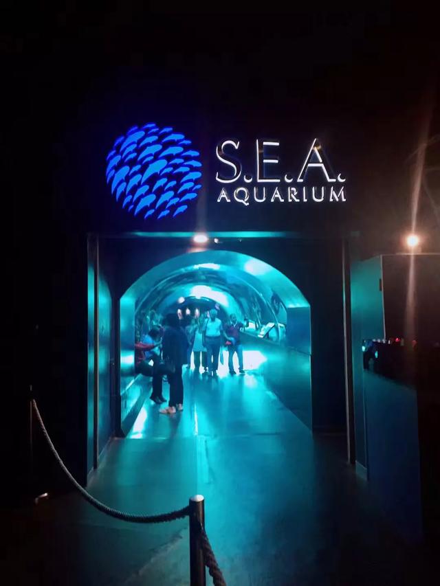 新加坡S.E.A水族馆