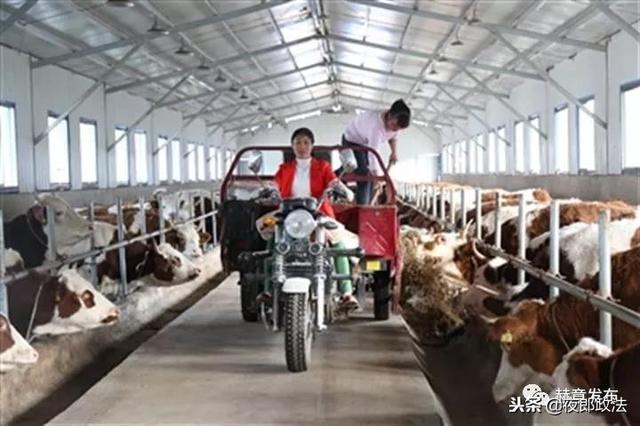 产业联动促发展 美丽彝乡迈康庄——看赫章县珠市彝族乡如何因地制宜谋发展