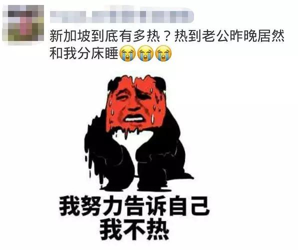 当中国小伙伴被高温烤成咸鱼，我在新加坡冻成一条狗……