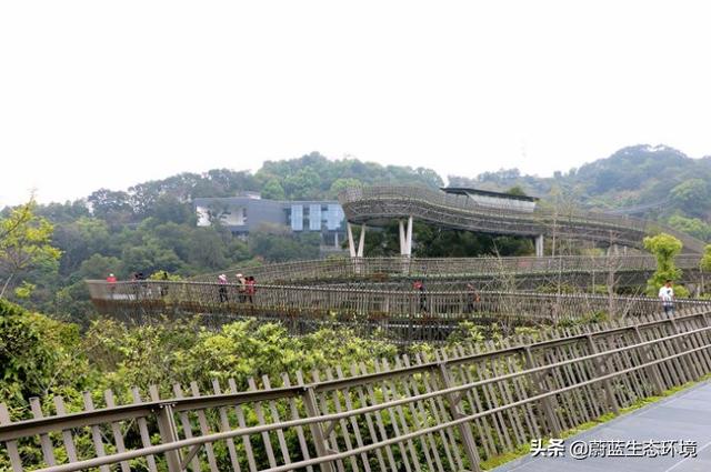 福州“福道”城市空中廊道-绿道