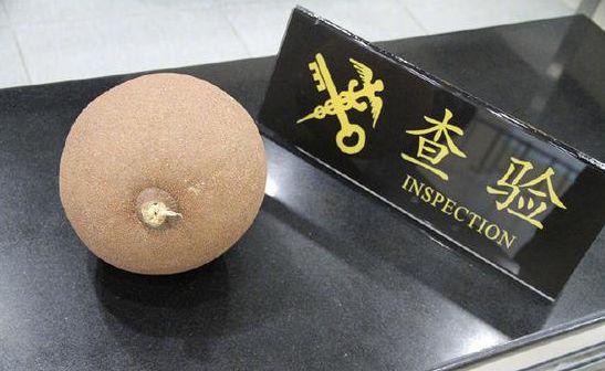 广东珠海海关截获危险水果，威力似手榴弹