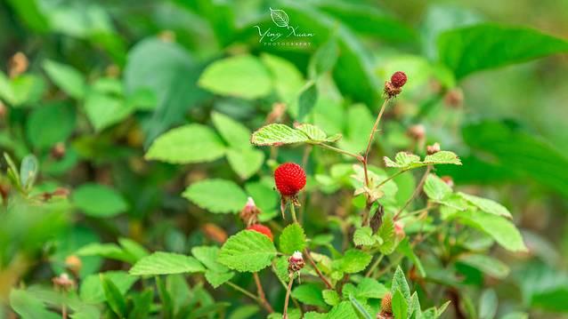 茅山下的新晋网红景点，常州宝盛园周末撒欢记