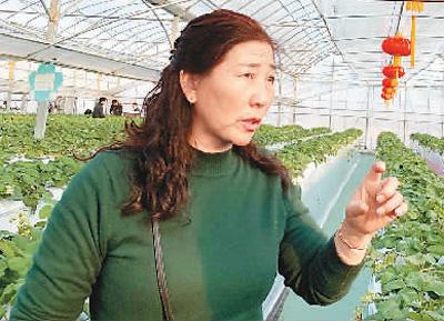 镇江村里的幸福生活