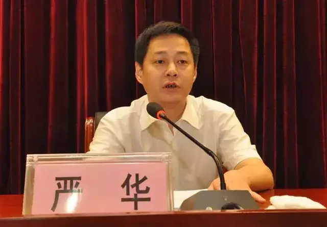 19岁从政30岁副厅37岁正厅的女书记，与搭档市长同时被调整