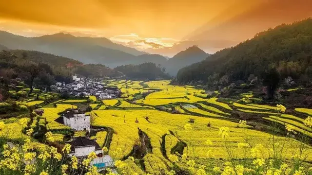 探秘新加坡的“小江西”，定制地道家乡味