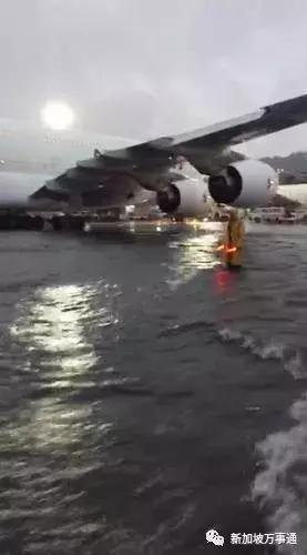 风大雨大冷死了！我在新加坡冻成狗