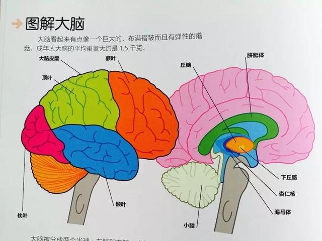 担心孩子暑假成绩滑坡？get到这些教辅书，孩子收获满满