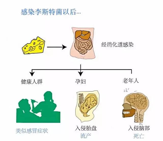 喜欢吃三文鱼的人注意！在新加坡，最近这批三文鱼，千万不要碰