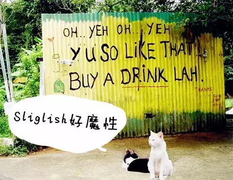 爆笑视频！英国小哥疯狂吐槽新加坡人的英语和中文，点击超20万次