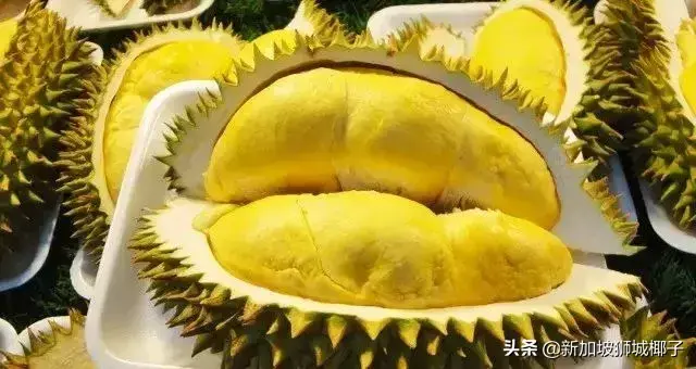 这些大家熟悉的品牌，原来都是新加坡的！