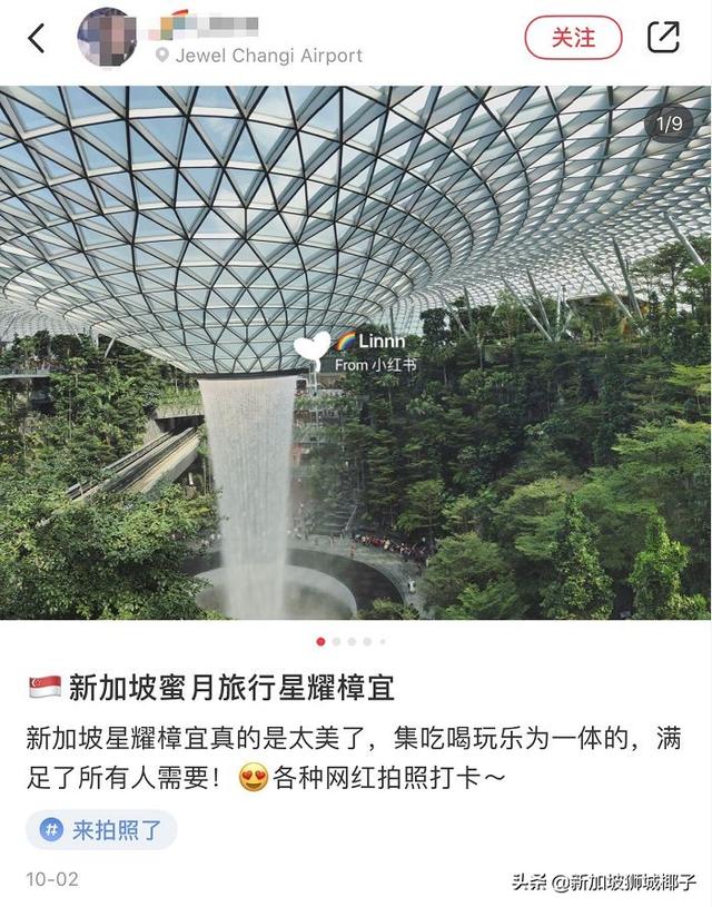 震惊！十几万中国游客来新加坡都干了这些事...