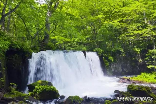 别让你的8月泡在游泳池里！超适合避暑的地方奉上