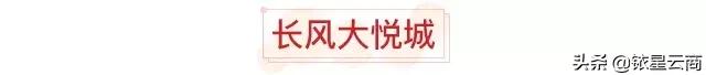 全球首家Swisse玩美养生馆，上海购物中心3月最新进品牌汇总