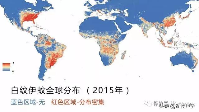 2018年 动物世界最受关注的20种动物