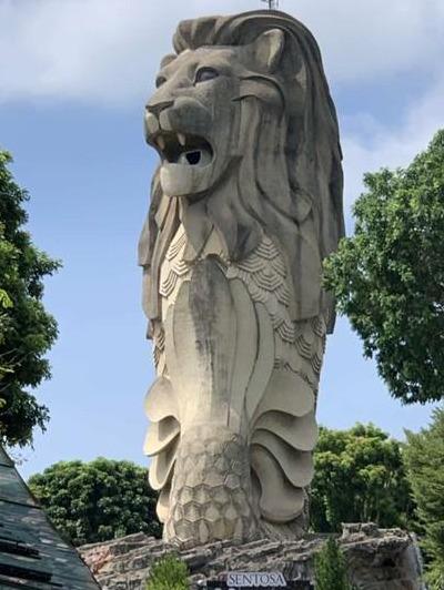 你知道新加坡科技设计大学为什么那么多人去读吗？