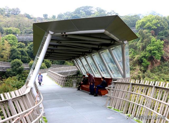 福州“福道”城市空中廊道-绿道