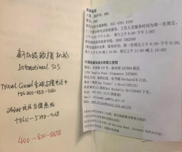 不容错过！新加坡亲子游详细攻略，带娃去玩这一篇就够了