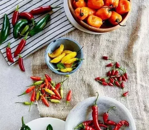 全球著名辣椒大赏！你认识几个？