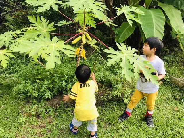 致新加坡的陪读妈妈们：这个母亲节我们一起欢度