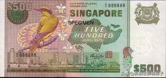 注意！新加坡出现一大波假钞，快来看看你中招了没？
