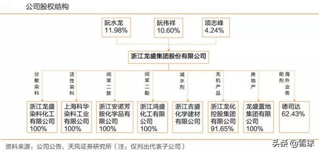 浙江龙盛深度分析