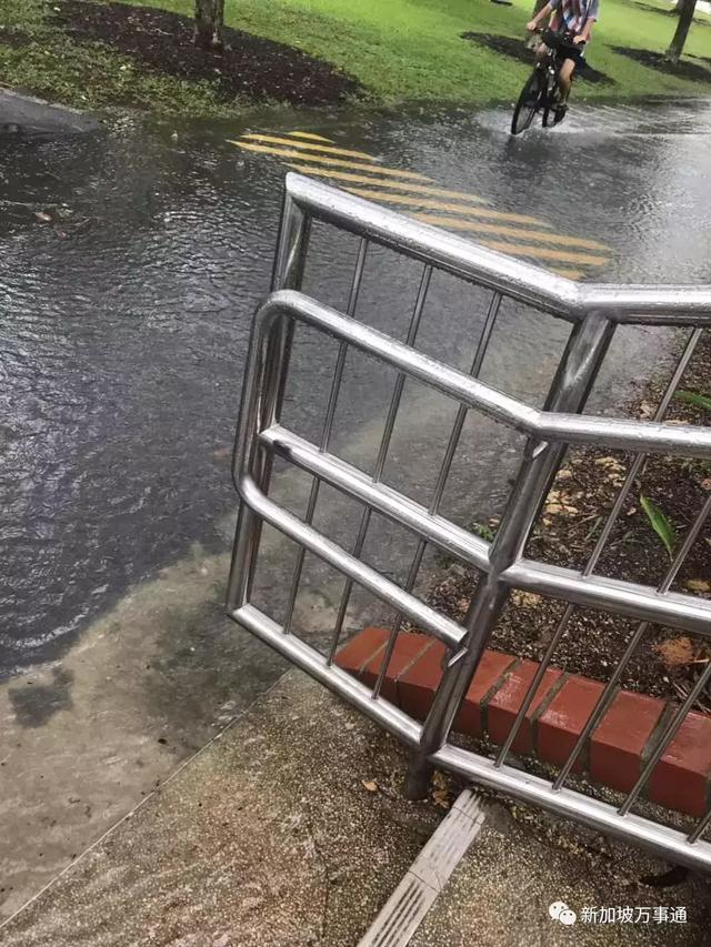 风大雨大冷死了！我在新加坡冻成狗