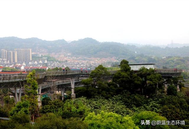 福州“福道”城市空中廊道-绿道