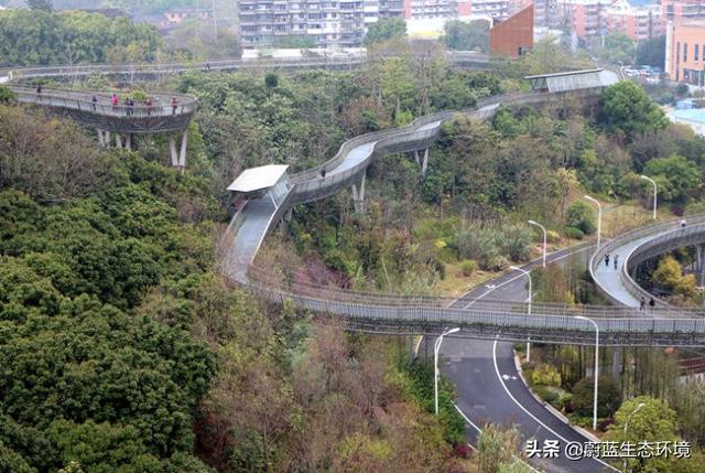 福州“福道”城市空中廊道-绿道