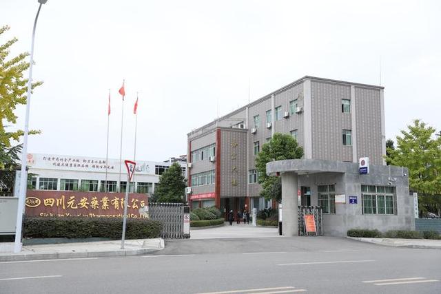 舌尖上的扶贫22：“仙草”出国门 致富一方民