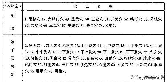 动物针灸技术起源于我国，被美国发扬光大，现在我们要去学习人家