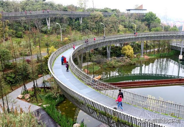 福州“福道”城市空中廊道-绿道