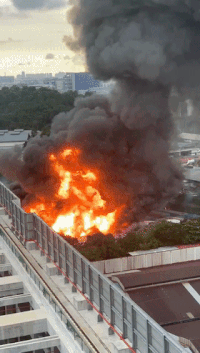 新加坡惊天大爆炸超详细细节遭曝光！死伤者全是中国人