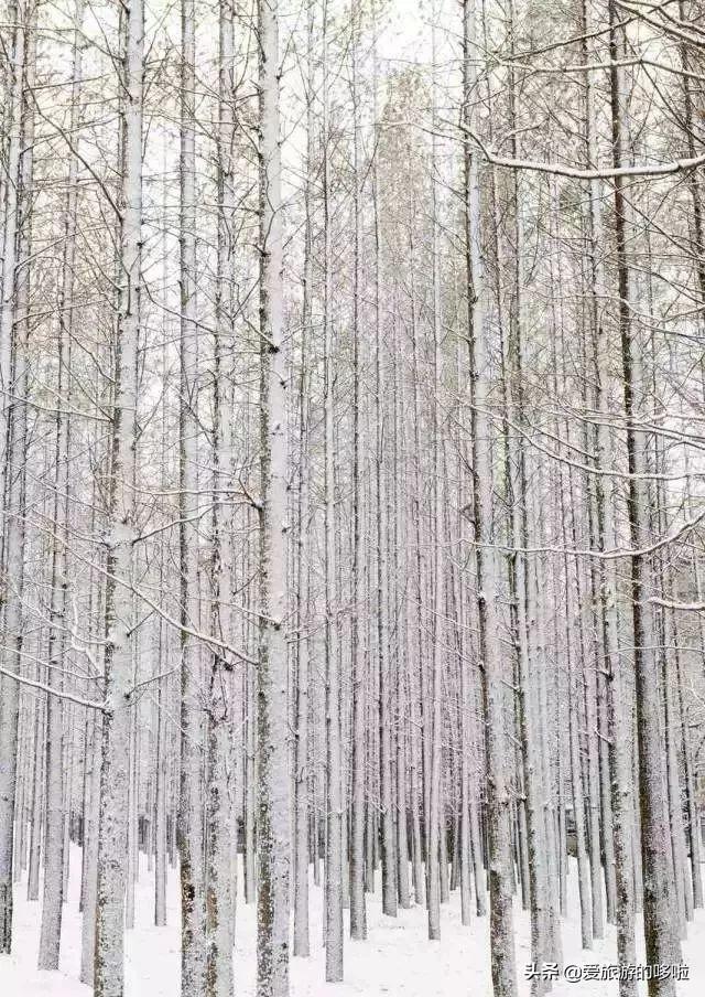 美过青岛！比厦门浪漫！这座中国海滨老城，去一次相当于环游世界