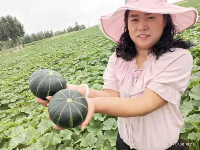 “南瓜西施”的甜蜜人生