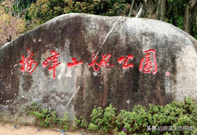 福州“福道”城市空中廊道-绿道