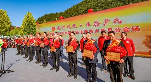 卢氏：喜迎核桃秋上市 欢庆农民丰收节
