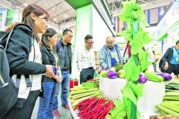 农交会首日亮点纷呈，品种丰富看花眼 价格优惠销路好