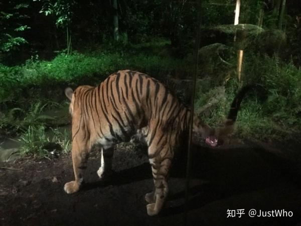 新加坡，一个非常适合自由行的国家，花园城市名不虚传