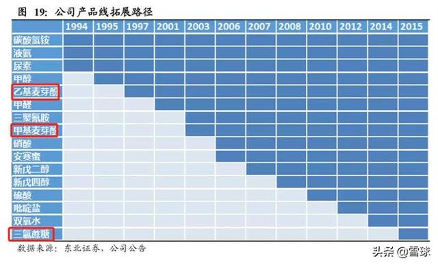 浙江龙盛深度分析