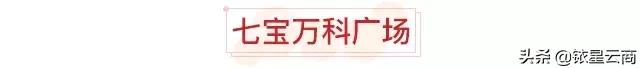 全球首家Swisse玩美养生馆，上海购物中心3月最新进品牌汇总