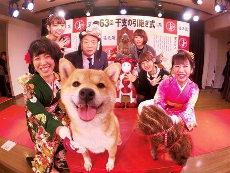 十二生肖里当然有猫，只不过是在越南